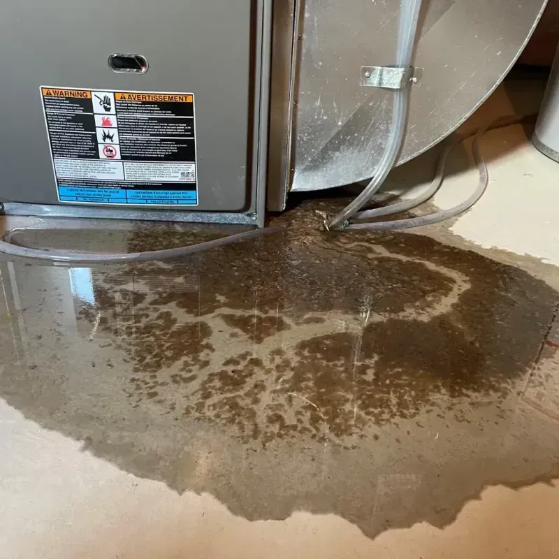 Appliance Leak Cleanup in Le Center, MN