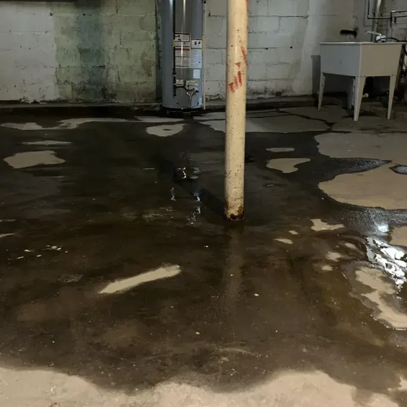 Emergency Water Extraction And Removal in Le Center, MN